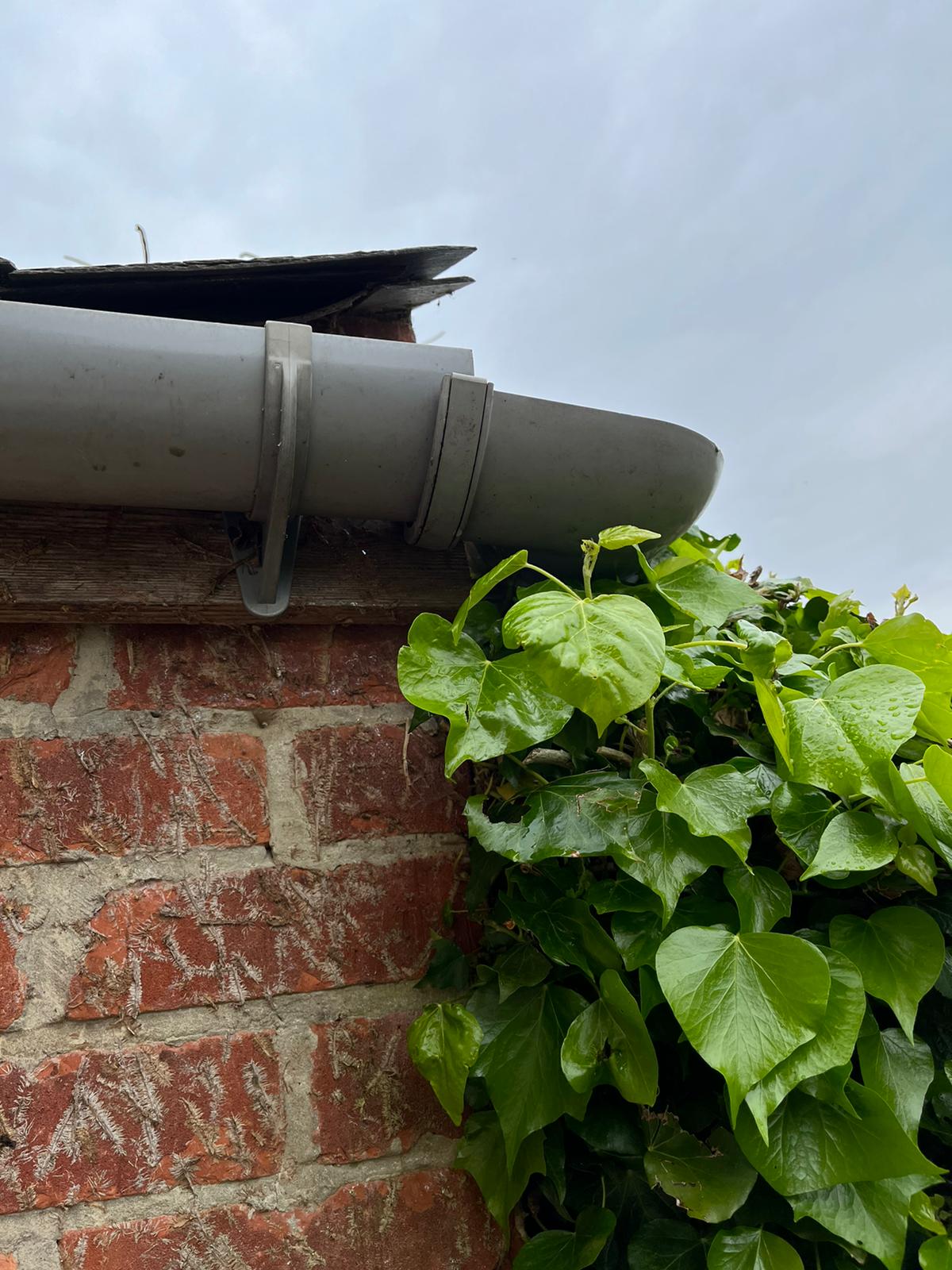 Damaged gutter